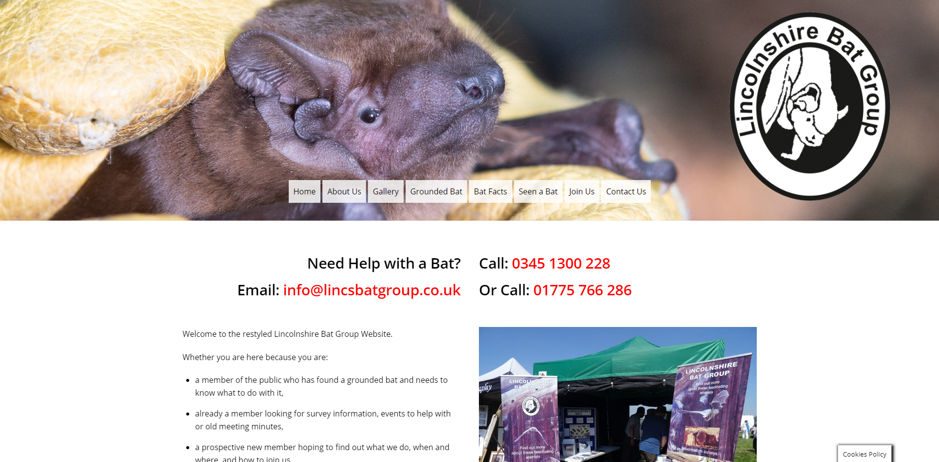 Lincs Bat Group